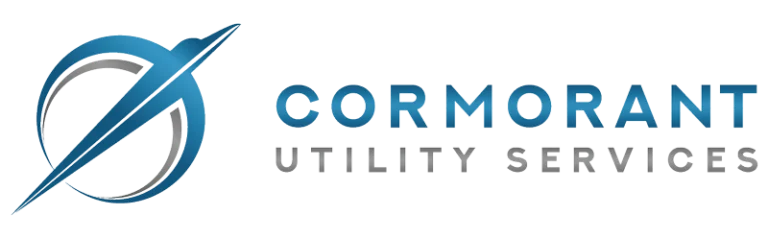 Cormorant Infinity Power Solutions logo